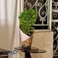 گیم نت سوِن