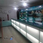 Mioopishi petshop فروشگاه کالا و خدمات حیوانات خانگی