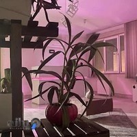 مرکز زیبایی نفس