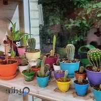 بیمه دانا/نمایندگی میرباقری