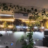 کافی نت سینا