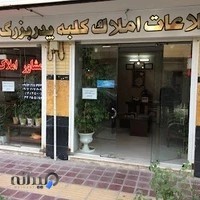 مشاور املاک پدر بزرگ