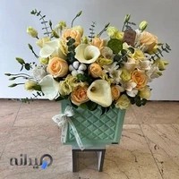 گل گرينسالند