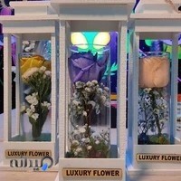 گلسرای نجم‌الدین