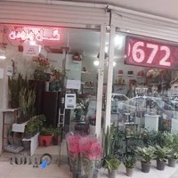 گل فروشی ونوس