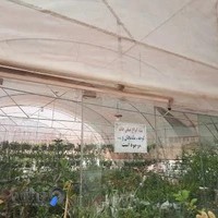 باغ گل صدری(هشت بهشت)