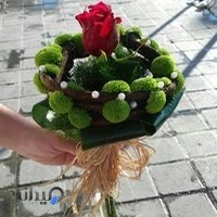 گل فروشی ارکیده