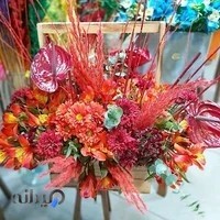 گل فروسی گلدیس