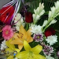 گلفروشی ماه گل