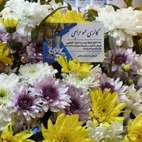 عموحراجی فروش چینی سرامیک کریستال طلایی و دکوری