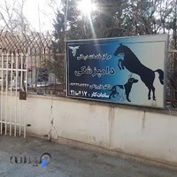 کلینیک دامپزشکی