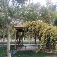 مجموعه تالارهای پذیرایی هشت بهشت شهرداری اصفهان