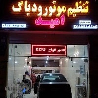 تنظیم موتور و برق خودروی امید
