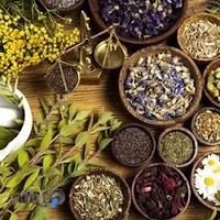 سلامتکده‌ی طب الحکیم