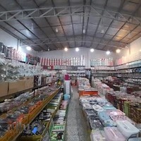 پلاسکو طاووسی