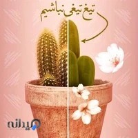 مرکزلیزرایلیا