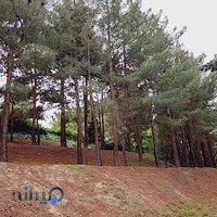 باغ بانوان صدف