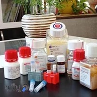 شرکت تجهیزات و مواد آزمایشگاهی یاس ژن کوثر