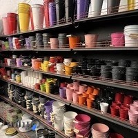 مجموعه گل و گیاه گرین لند (شعبه۲)