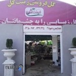 گلفروشی زینت گل