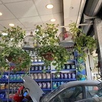 اتوسرویس شفیعی