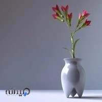 عکاسی تصویر