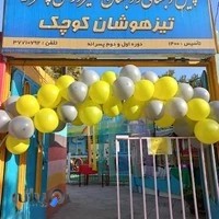 دبستان غیرانتفاعی تیزهوشان کوچک