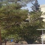 بیمارستان شهید بهشتی