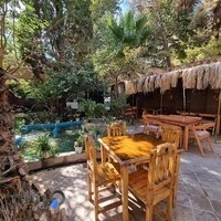 عمارت نخلستان