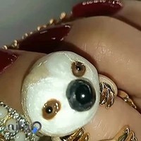 آرایشی تخفیف