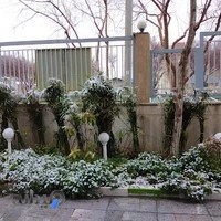 خانه معلم شماره یک