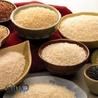 برنجکوبی مالکی شماره یک- فردوس