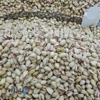 آجیل و خشکبار امیر