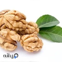 خشکبار محمدی تویسرکانی
