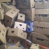 خرید و فروش کارتن موزی