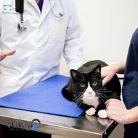 دامپزشکی دکتر شمس