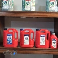 شرکت بازرگانی استیس