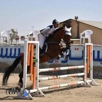 باشگاه سوارکاری شهر اسب