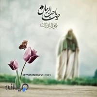 غذای بیرون بر تاج محل