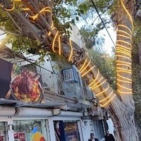 غذای بیرون بر آرمیس