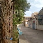 دانشکده فنی و حرفه‌ای شهید دادبین