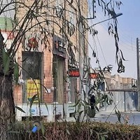 غذای ایرانی موژان