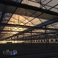 گروه کشاورزی صنعتی سدید رویش ویستا