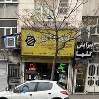 هایپر ارگانیک مانوش