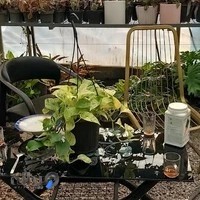 باغ گل ازگل