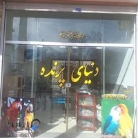 دنیای پرنده