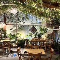 کافه بید مجنون