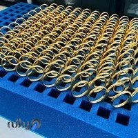 پویندگان سلامت پاسارگاد