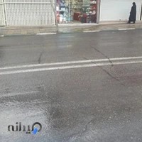 هدیه سرای مهدی(عج)