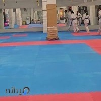 باشگاه رزمی پیروز بشر